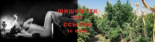 СК Дмитриев
