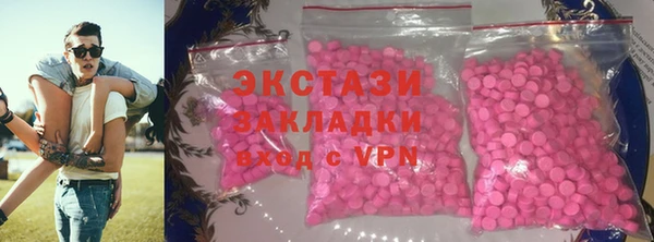 прущие грибы Гусев