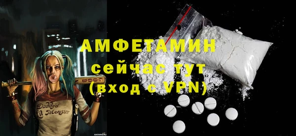 прущие грибы Гусев