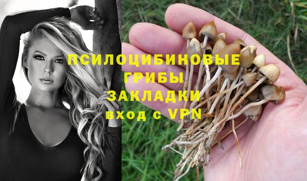 кристаллы Гусиноозёрск