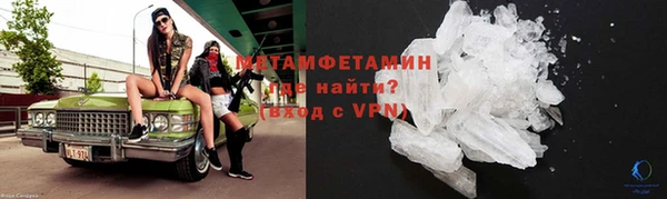 прущие грибы Гусев