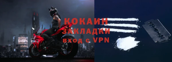 прущие грибы Гусев