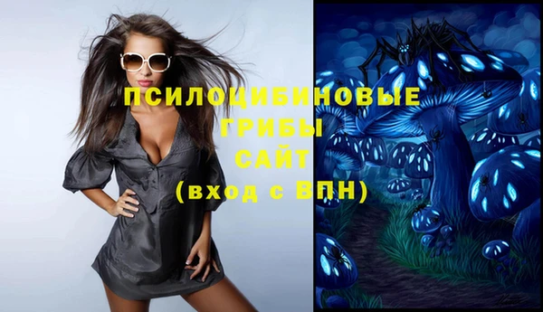 прущие грибы Гусев