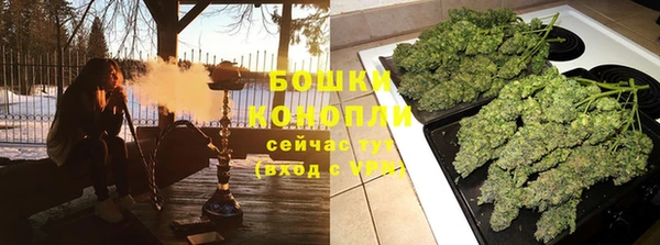 прущие грибы Гусев