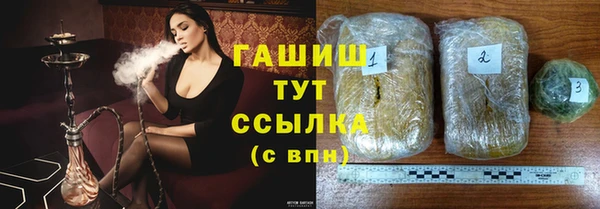 прущие грибы Гусев
