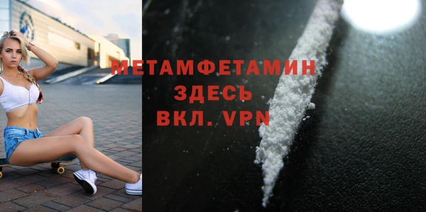 прущие грибы Гусев