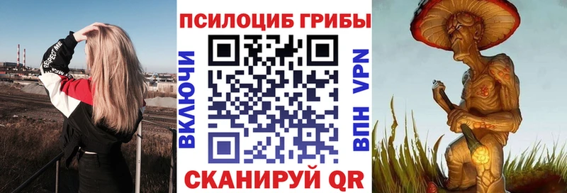 где найти   Воркута  mega ТОР  Галлюциногенные грибы Cubensis 